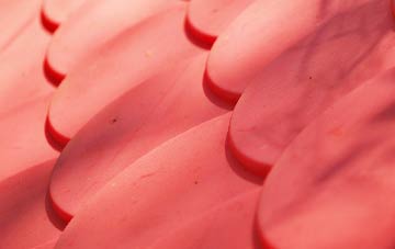 Kewstoke plastic roof costs